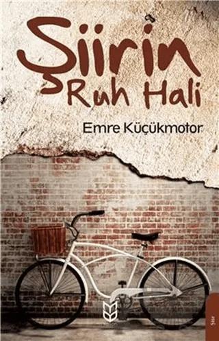 Şiirin Ruh Hali