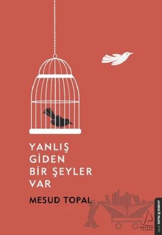 Yanlış Giden Bir Şeyler Var