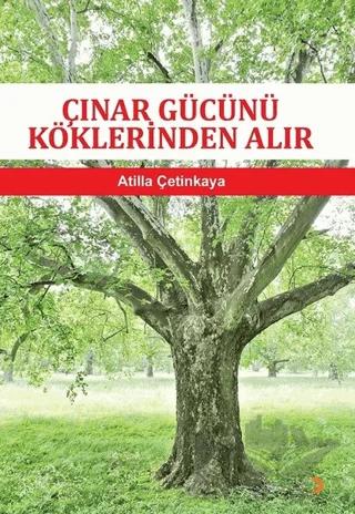 Çınar Gücünü Köklerinden Alır