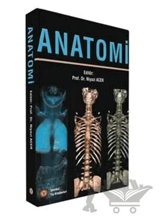 Anatomi
