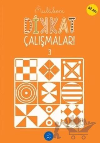 Dikkat Çalışmaları - 3