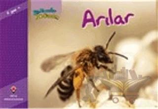 Bir Zamanlar Korkardım - Arılar