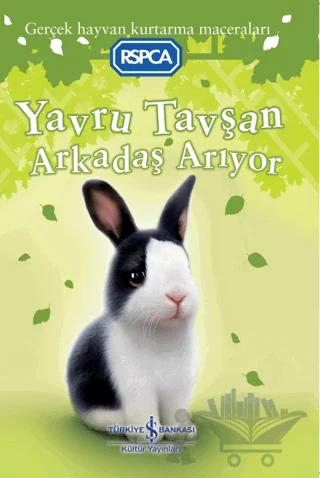 Yavru Tavşan Arkadaş Arıyor