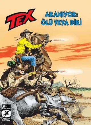 Tex Yeni Seri 29 - Aranıyor: Ölü veya Diri / Korkusuzlar Kervanı – Mauro Boselli, Tito Faraci – Çizgi Düşler Yayınevi kitap kapağı