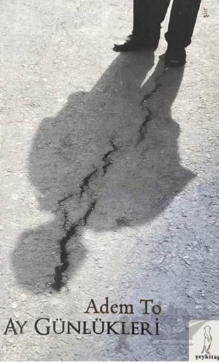 Ay Günlükleri