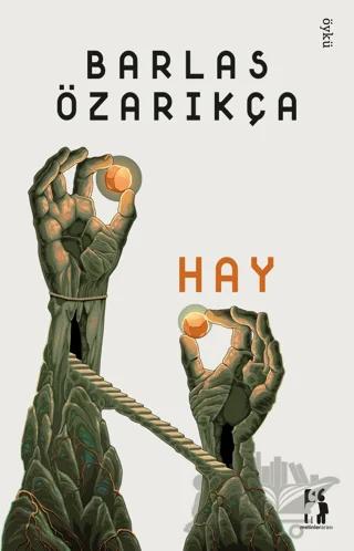 Hay