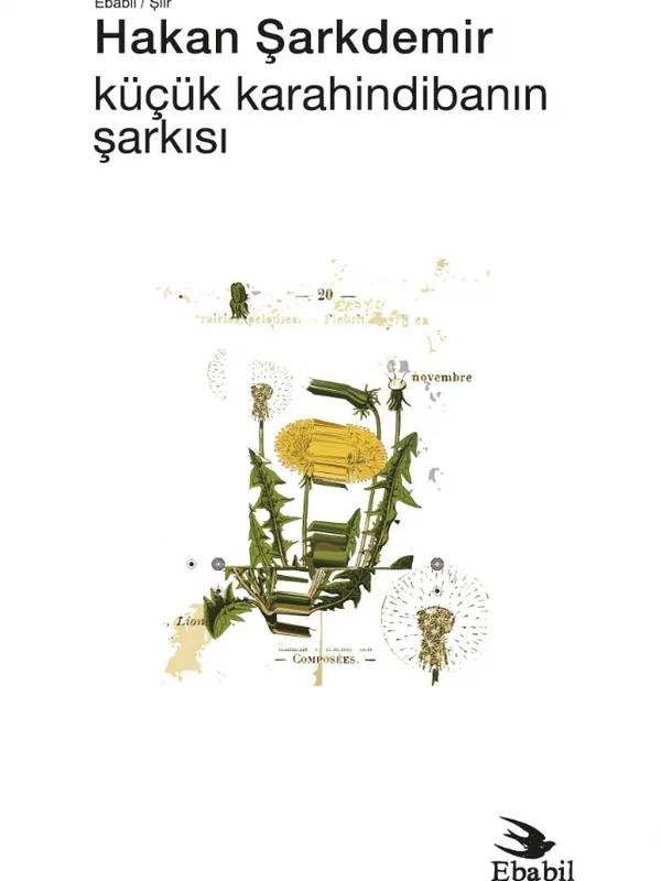 Küçük Karahindibanın Şarkısı (Şiir)