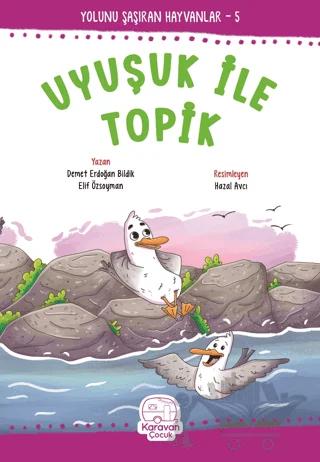 Uyuşuk ile Topik