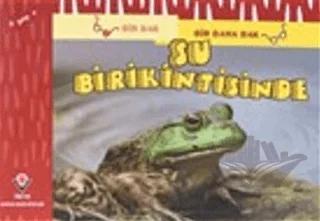 Bir Bak Bir Daha Bak - Su Birikintisinde
