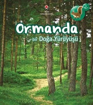 Ormanda Bir Doğa Yürüyüşü
