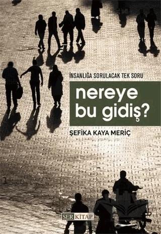 Nereye Bu Gidiş?