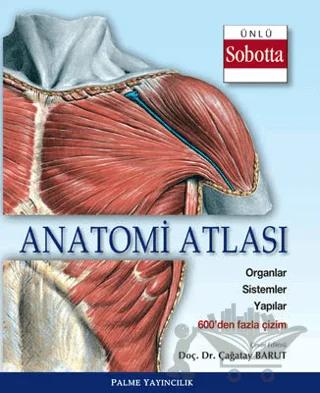 Anatomi Atlası (Sobotta Çizimleri)