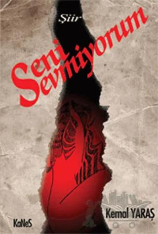 Seni Sevmiyorum