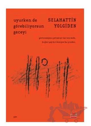Uyurken de Görebiliyorsun Geceyi