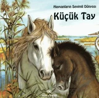 Küçük Tay