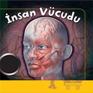 İnsan Vücudu