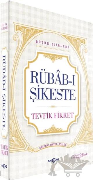 Rübab-ı Şikeste