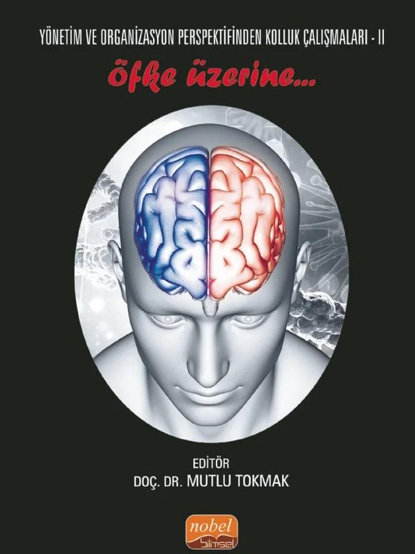Yönetim ve Organizasyon Perspektifinden Kolluk Çalışmaları II - ÖFKE ÜZERİNE..