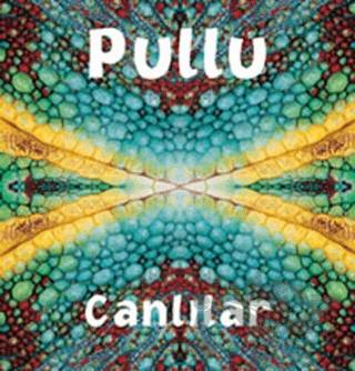 Pullu Canlılar
