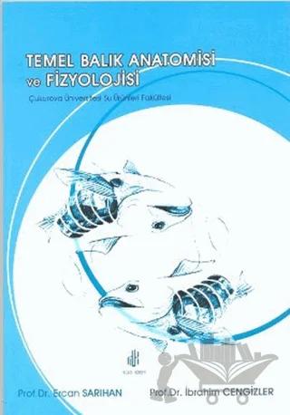 Temel Balık Anatomisi ve Fizyolojisi