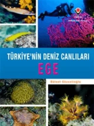 Ege - Türkiye'nin Deniz Canlıları