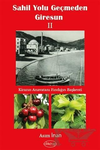 Sahil Yolu Geçmeden Giresun 2