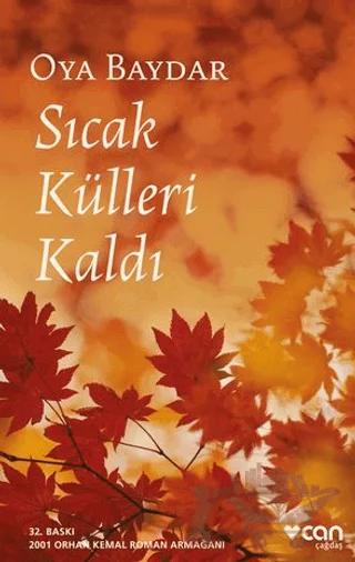 Sıcak Külleri Kaldı