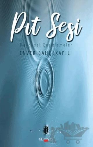 Pıt Sesi