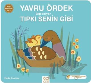 Yavru Ördek Öğreniyor Tıpkı Senin Gibi