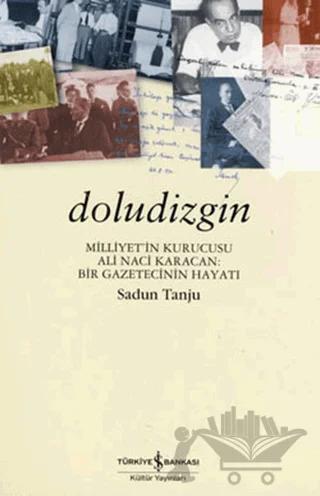 Doludizgin