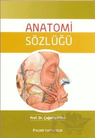 Anatomi Sözlüğü