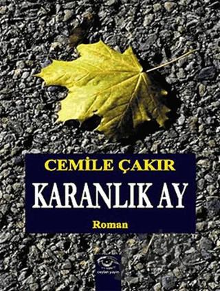 Karanlık Ay