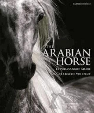 The Arabian Horse
