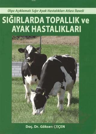 Sığırlarda Topallık ve Ayak Hastalıkları
