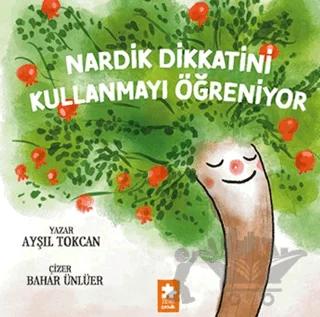 Nardik Dikkatini Kullanmayı Öğreniyor