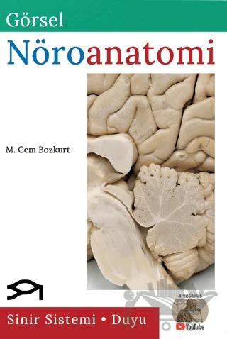 Görsel Nöroanatomi
