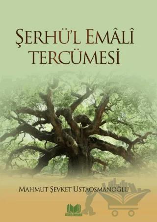 Şerhü'l Emali Tercümesi