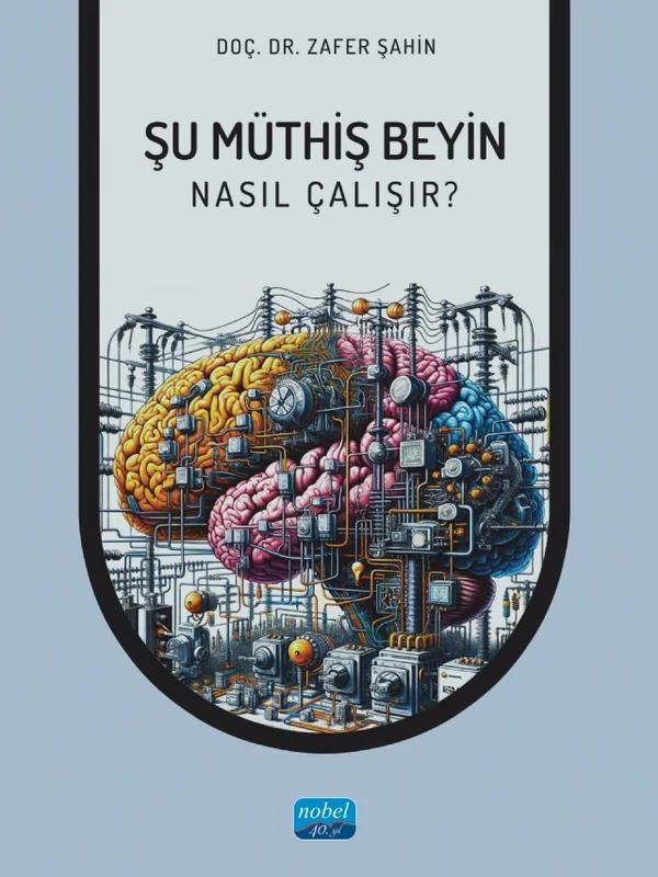 ŞU MÜTHİŞ BEYİN - Nasıl Çalışır?