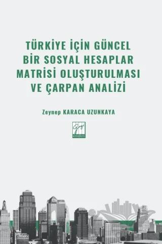 Türkiye İçin Güncel Bir Sosyal Hesaplar Matrisi Oluşturulması ve Çarpan Analizi