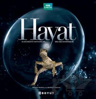 Hayat