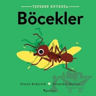 Böcekler - Tepeden Kuyruğa