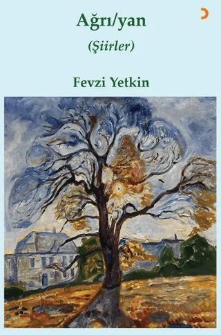 Ağrı / yan