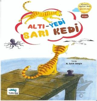 Altı Yedi Sarı Kedi
