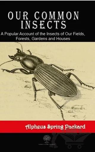 Our Common Insects