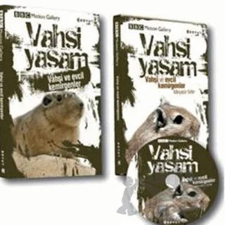 Vahşi Yaşam-Vahşi ve Evcil Kemirgenler