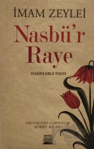 Nasbü'r Raye