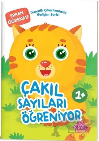 Çakıl Sayıları Öğreniyor