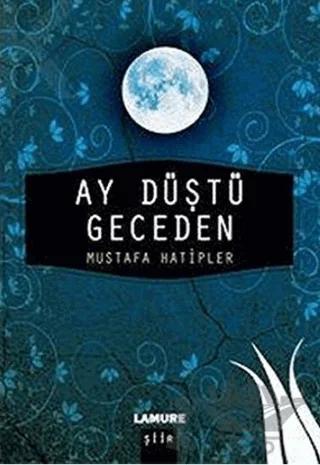 Ay Düştü Geceden