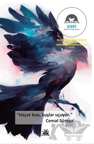 Kirpi ve Edebiyat Düşün Dergisi Üç Aylık Edebiyat Seçkisi Kitap 10 Temmuz - Ağustos - Eylül 2022