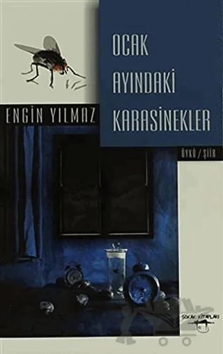 Ocak Ayındaki Karasinekler